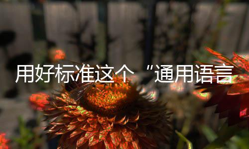 通这个标准用好用语言